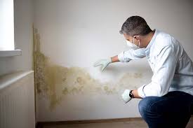 Mold Removal for HVAC Installations in Mapleton, MN